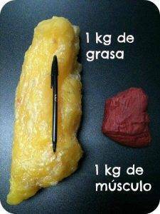 1kg de grasa y de músculo